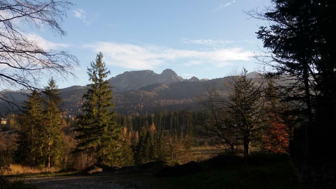 Spanie Po Zboju Kościelisko Exteriör bild